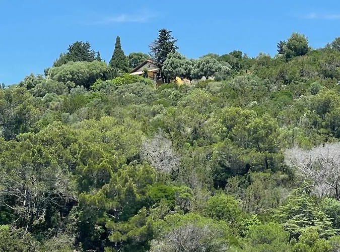 Monte Rosa Апартаменты *