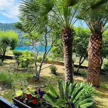 Apartment Monte Rosa *