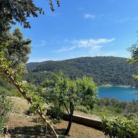 Apartment Monte Rosa